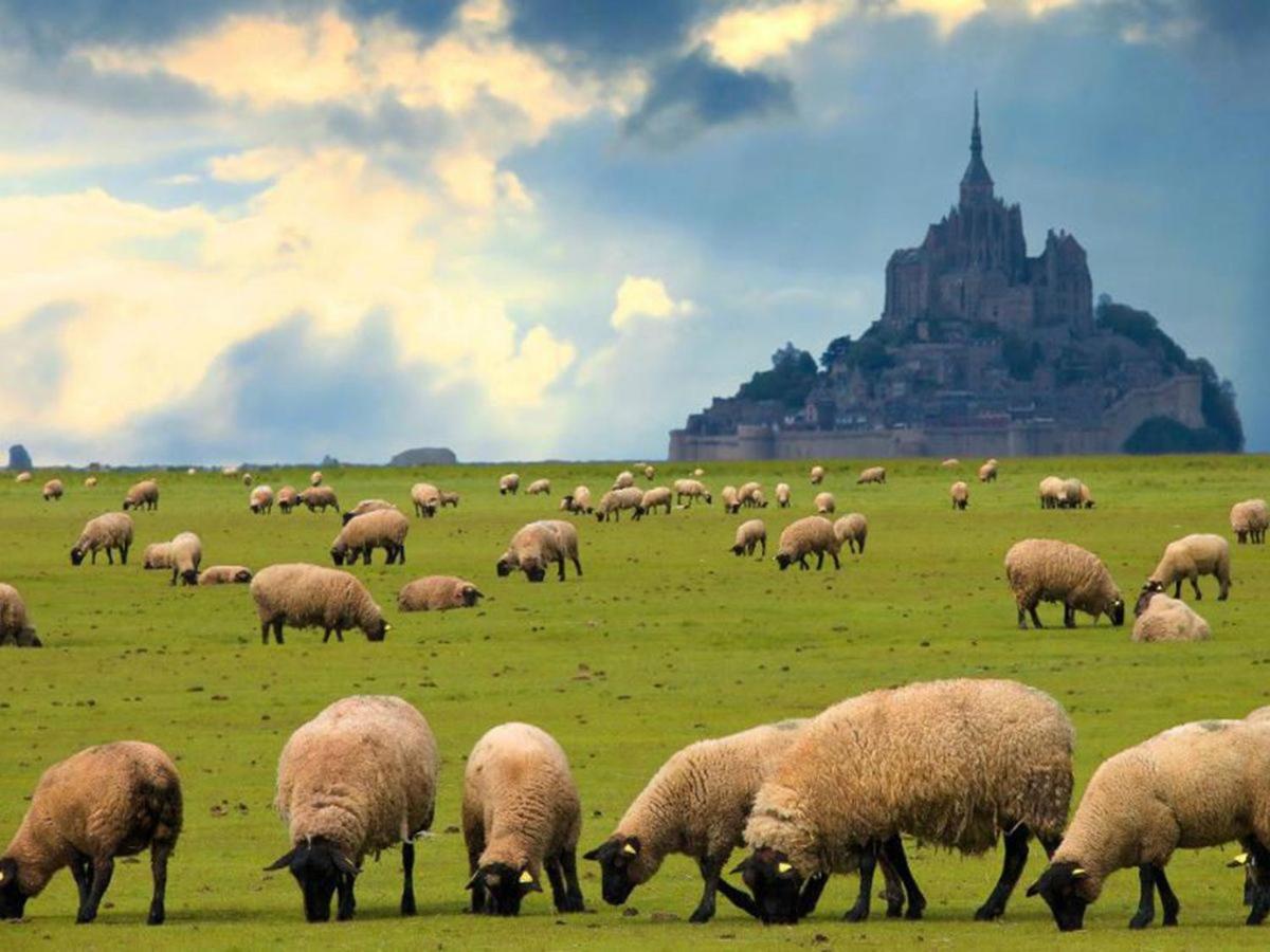 Gîte Timéo Mont Saint-Michel Pontorson Exterior foto